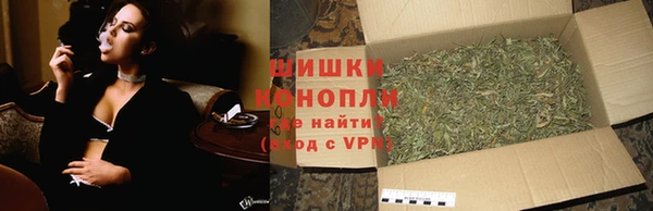 эйфоретик Тутаев