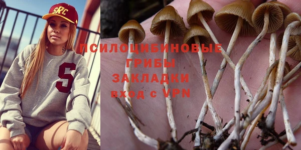 мдпв Кукмор