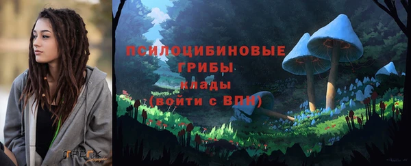 мдпв Кукмор
